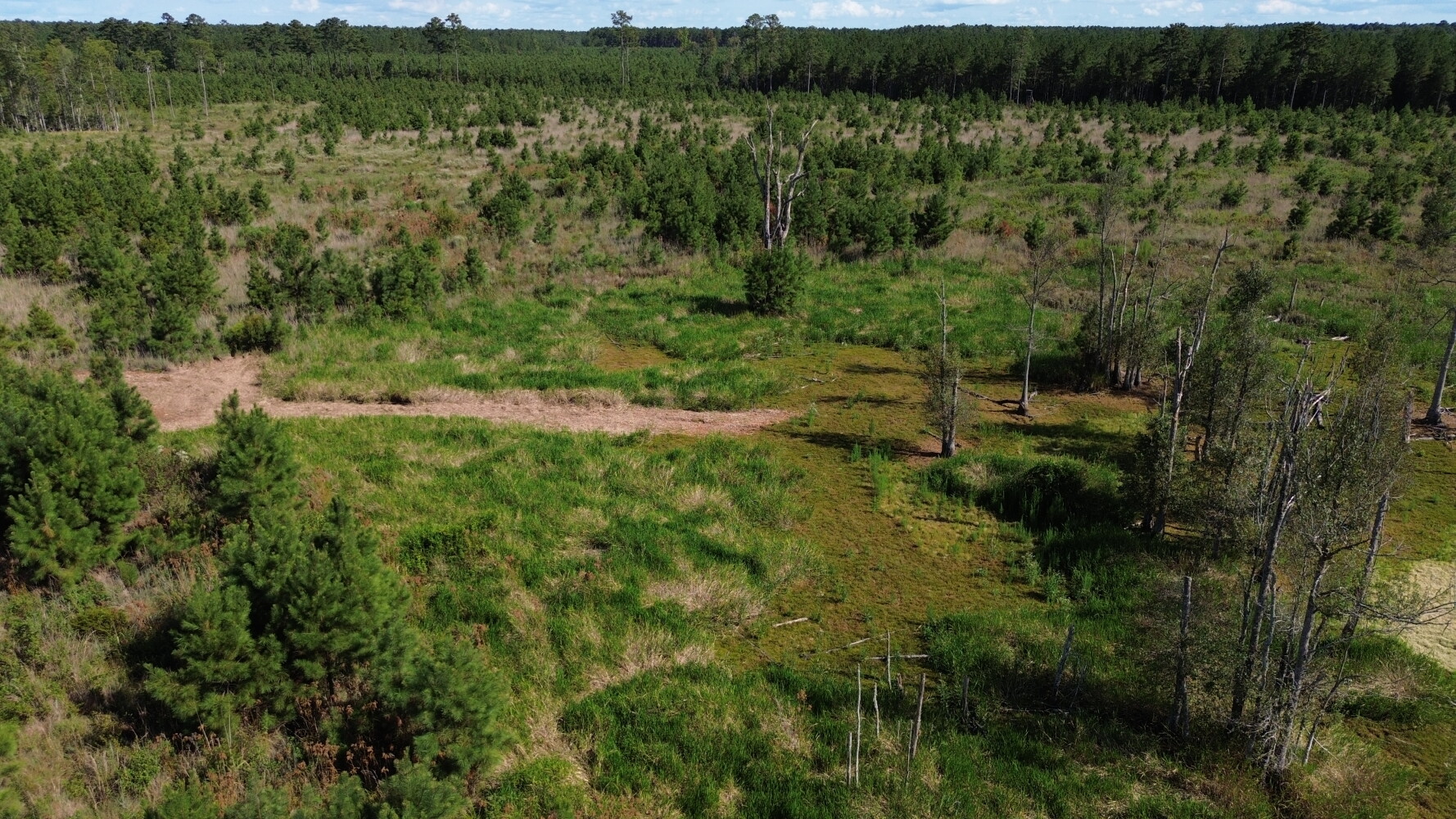 Photo 1 of 25 of land for sale at 0 Bethel Forest Road, Tract 2 & 3, Orangeburg, SC 29133