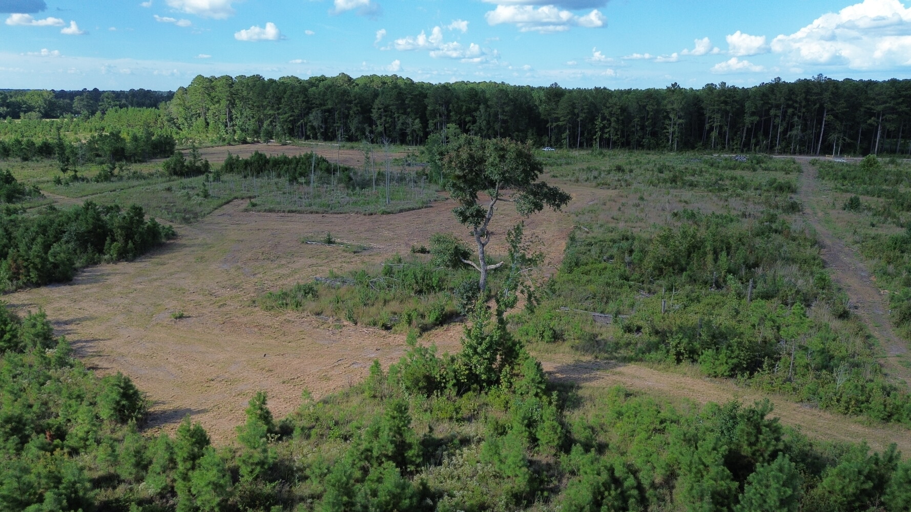 Photo 2 of 25 of land for sale at 0 Bethel Forest Road, Tract 2 & 3, Orangeburg, SC 29133
